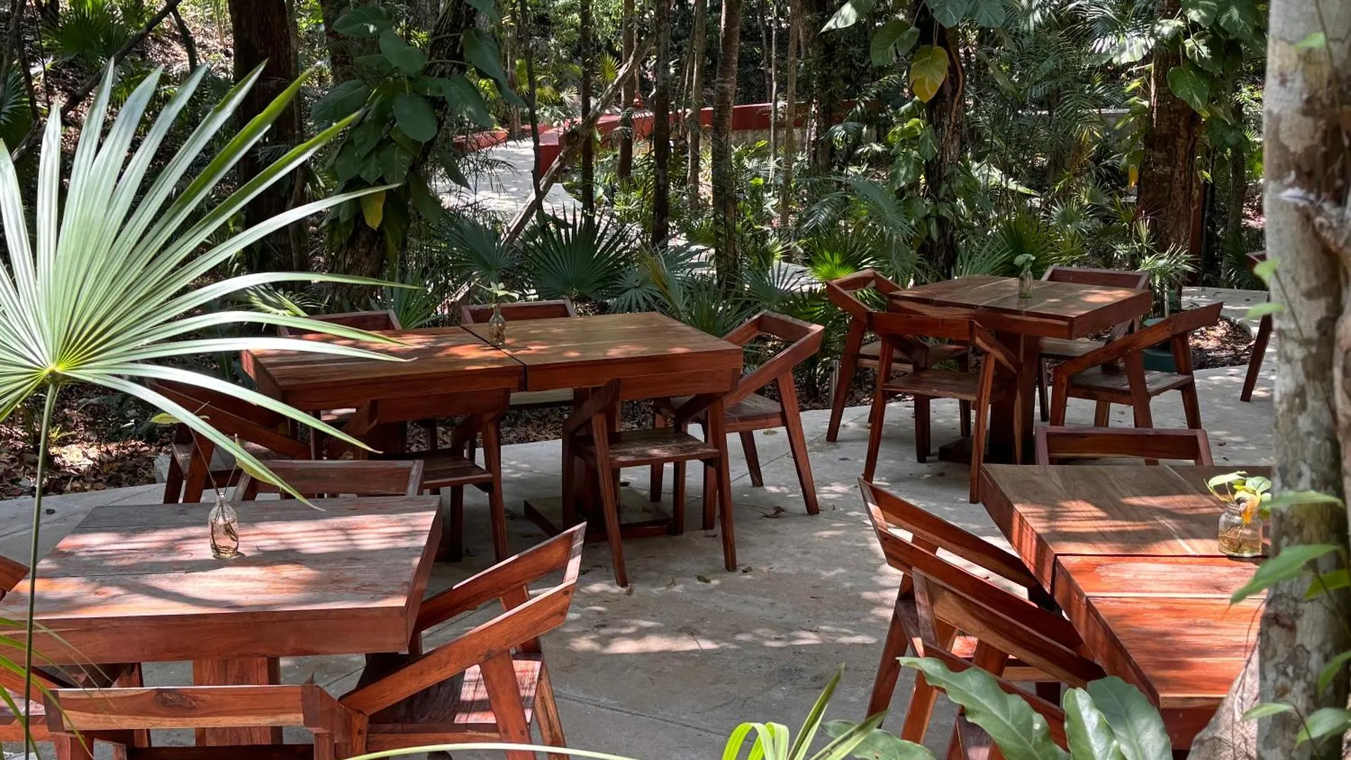 Caribbean Golf And Beach Retreat Akumal Apartment